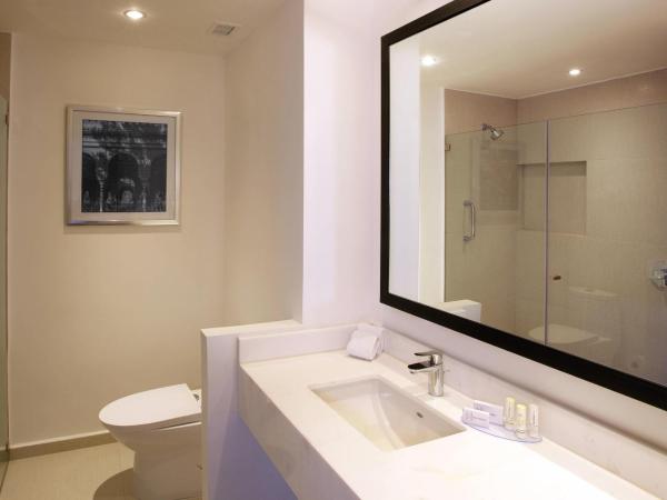 Fairfield Inn & Suites by Marriott Mexico City Vallejo : photo 2 de la chambre chambre lit king-size