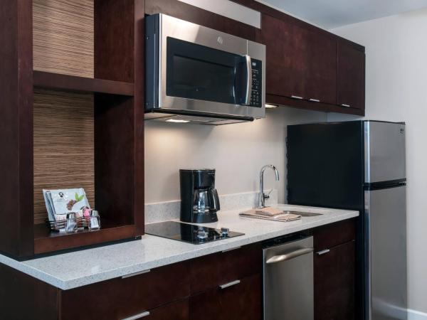 TownePlace Suites by Marriott Orlando Theme Parks Lake Buena Vista : photo 3 de la chambre studio lit king-size avec canapé-lit