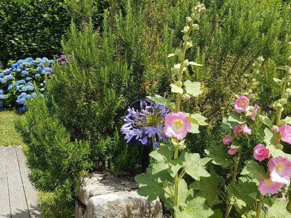 Les chambres du Keriolet : photo 2 de la chambre maison 4 chambres