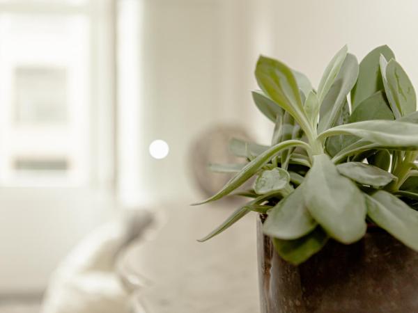 RODELIJV : photo 4 de la chambre chambre double avec salle de bains privative