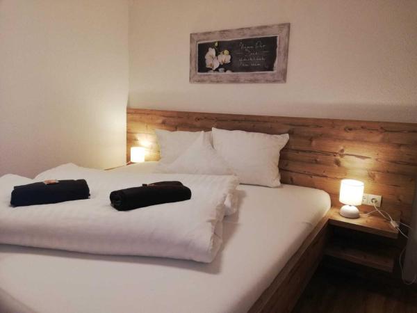 Nockhof : photo 4 de la chambre appartement avec vue sur la montagne