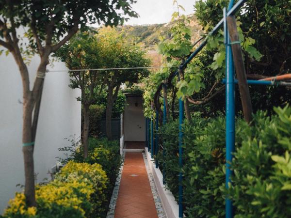 Hotel Villa Maria : photo 3 de la chambre chambre triple - vue sur jardin