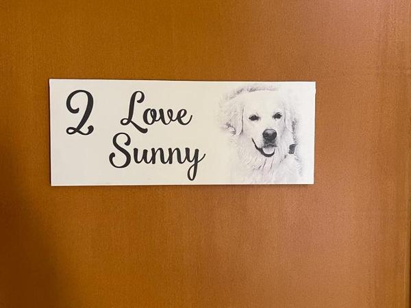 Sunny, The House - AL : photo 1 de la chambre chambre double deluxe (2 adultes + 1 enfant)