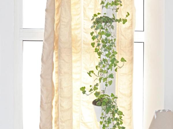 Tinel Rooms Old City Center : photo 7 de la chambre appartement 1 chambre