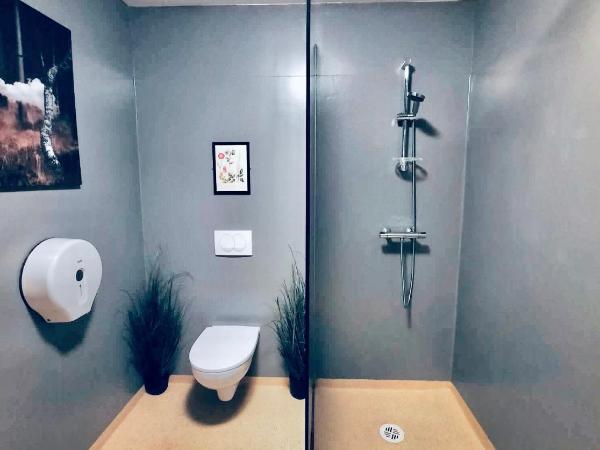 Bus Hostel Reykjavik - Reykjavik Terminal : photo 10 de la chambre lit dans dortoir de 10 lits 