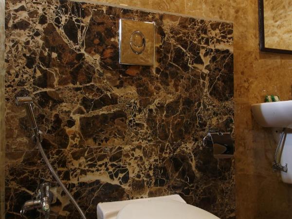 Treebo Address Inn, Banjara Hills : photo 10 de la chambre [sanitized] deluxe double or twin room