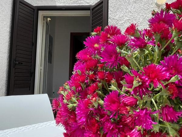 Sweet Life : photo 2 de la chambre appartement avec terrasse