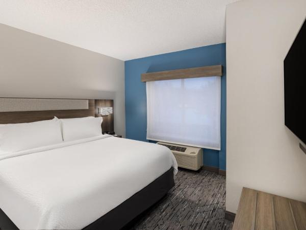 Holiday Inn Express and Suites Tampa I-75 at Bruce B. Downs, an IHG Hotel : photo 6 de la chambre suite 2 chambres