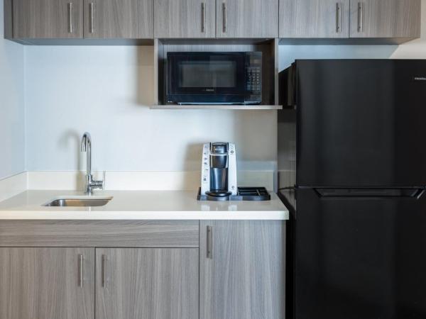 Holiday Inn Express and Suites Tampa I-75 at Bruce B. Downs, an IHG Hotel : photo 7 de la chambre suite 2 chambres