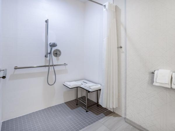 Holiday Inn Express and Suites Tampa I-75 at Bruce B. Downs, an IHG Hotel : photo 6 de la chambre chambre avec 2 lits queen-size et douche accessible en fauteuil roulant - accessible aux personnes malentendantes - non-fumeurs