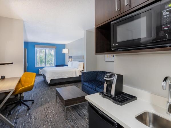 Holiday Inn Express and Suites Tampa I-75 at Bruce B. Downs, an IHG Hotel : photo 9 de la chambre suite lit king-size – non-fumeurs