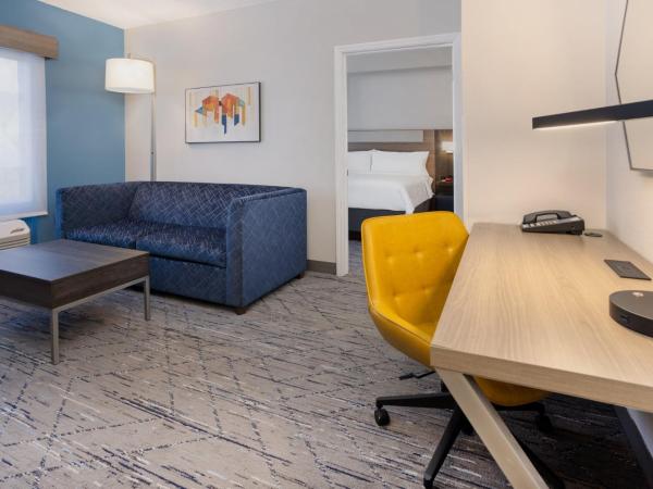 Holiday Inn Express and Suites Tampa I-75 at Bruce B. Downs, an IHG Hotel : photo 5 de la chambre suite lit king-size exécutive