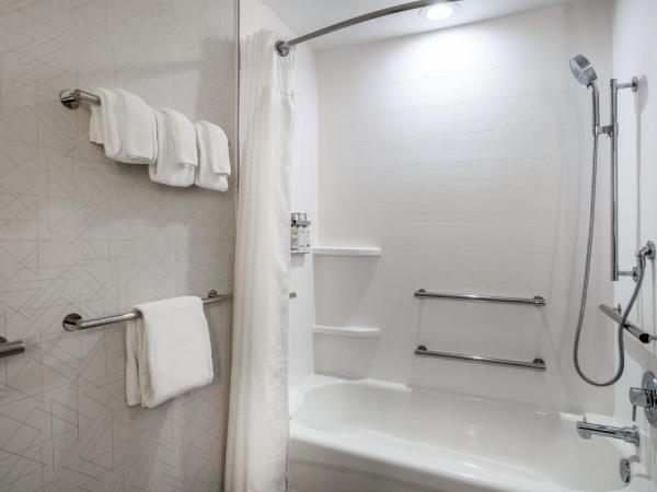 Holiday Inn Express and Suites Tampa I-75 at Bruce B. Downs, an IHG Hotel : photo 8 de la chambre chambre lit king-size - accessible aux personnes à mobilité réduite / adapté aux malentendants