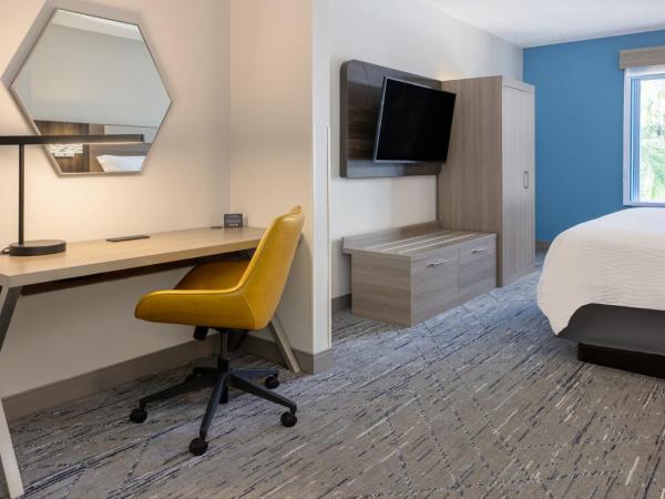 Holiday Inn Express and Suites Tampa I-75 at Bruce B. Downs, an IHG Hotel : photo 8 de la chambre suite lit king-size – non-fumeurs