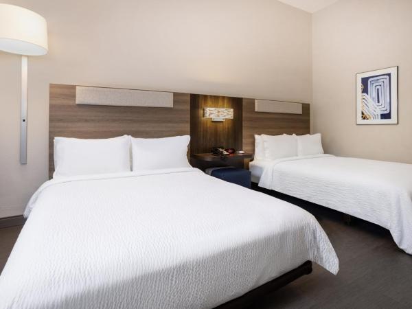 Holiday Inn Express and Suites Tampa I-75 at Bruce B. Downs, an IHG Hotel : photo 8 de la chambre chambre avec 2 lits queen-size et douche accessible en fauteuil roulant - accessible aux personnes malentendantes - non-fumeurs