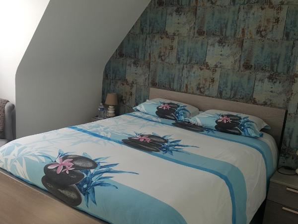 Chambre d'hote Les Iles Concarneau : photo 1 de la chambre chambre double deluxe