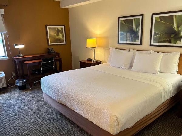 La Quinta by Wyndham Orlando South : photo 1 de la chambre chambre lit king-size deluxe