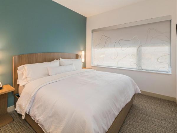 Element Denver International Airport : photo 2 de la chambre suite 1 chambre avec 1 lit king-size et canapé-lit