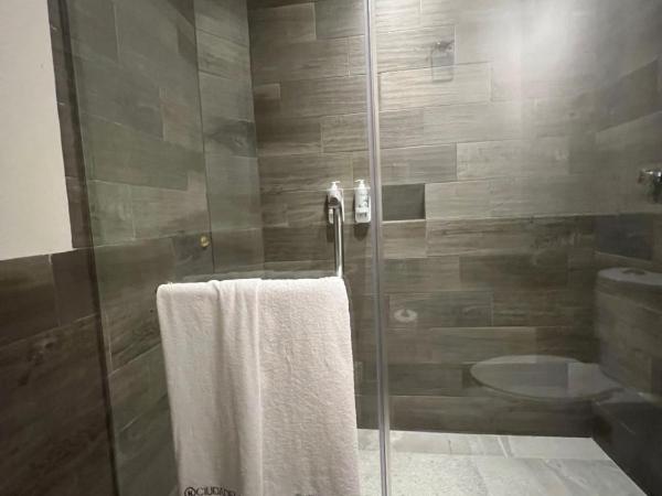 Kali Ciudadela Mexico City : photo 10 de la chambre chambre double standard