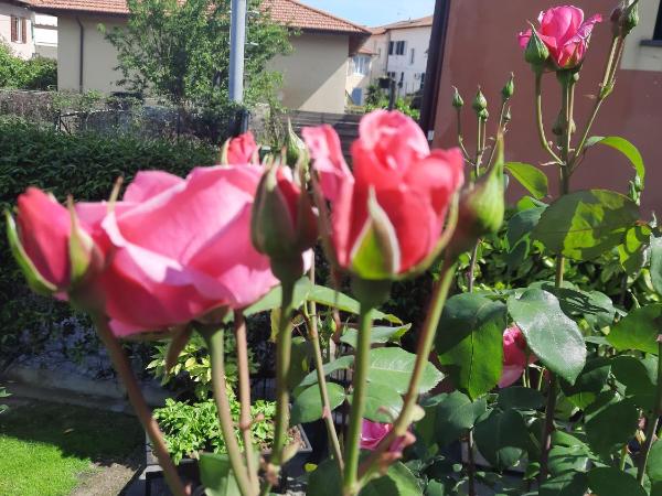 La Villa : photo 4 de la chambre chambre double - vue sur jardin