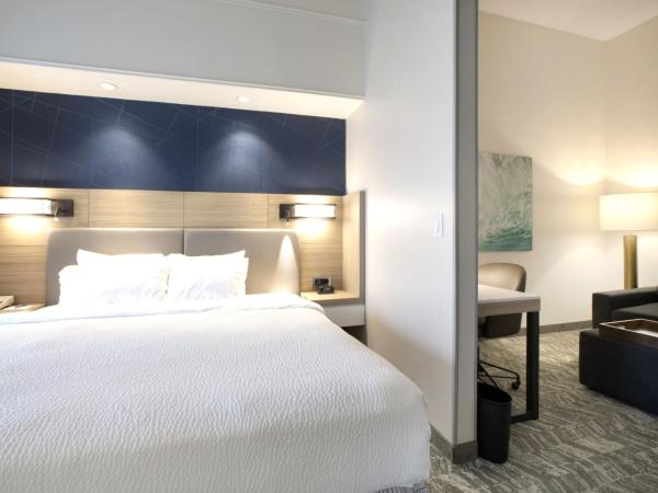 SpringHill Suites Savannah Airport : photo 4 de la chambre studio lit king-size