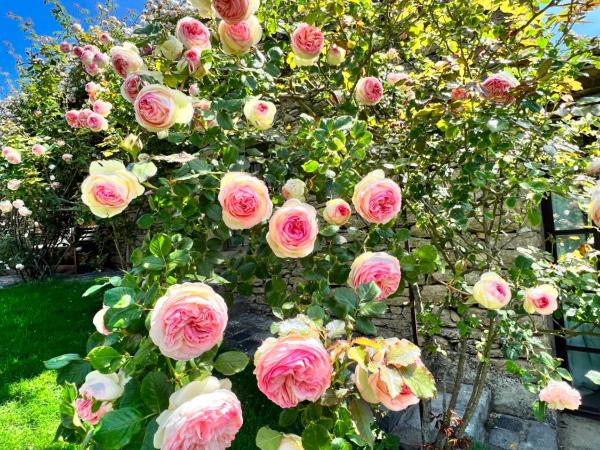 Villa Hautvallon : photo 5 de la chambre suite junior deluxe