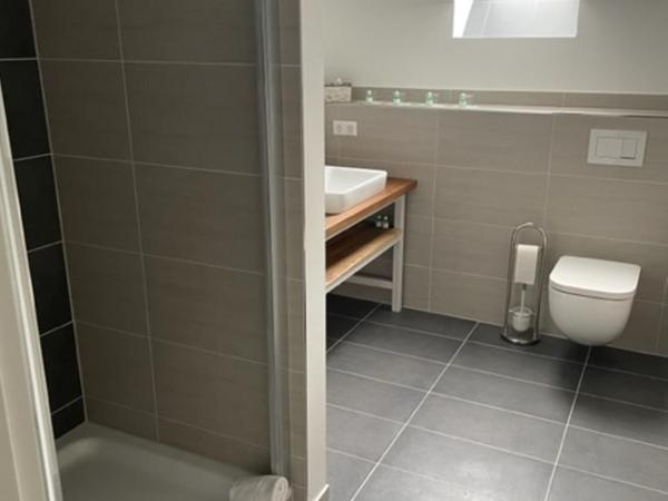 Dieckmann's Hotel : photo 5 de la chambre appartement 3 chambres