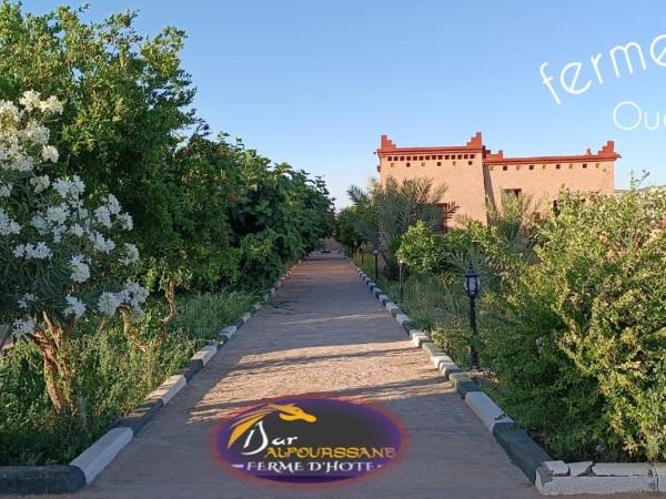 Dar Alfourssane Ferme d'hôte : photo 1 de la chambre tente