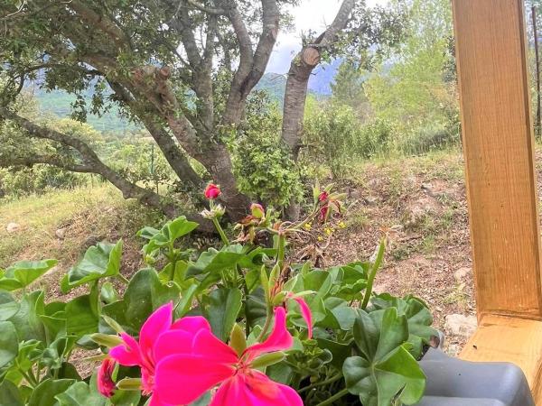 La Cabane de Mercone Crenu : photo 9 de la chambre chambre double - vue sur montagne