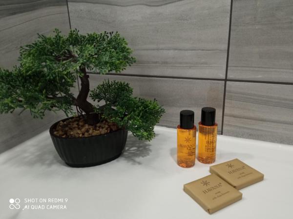 Agropex : photo 2 de la chambre appartement 1 chambre