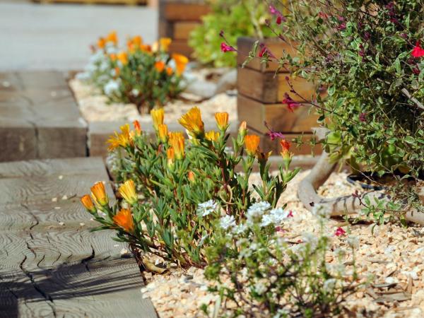 Hôtel Les Mimosas : photo 2 de la chambre chambre double Économique