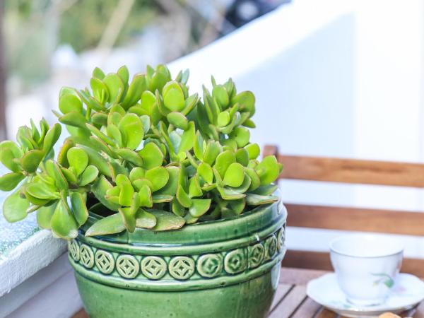 Galini Hotel : photo 9 de la chambre chambre double supérieure