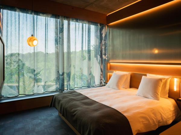 Mix Brussels --Gym & Wellness for adults only-- : photo 3 de la chambre 20