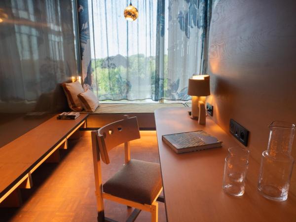 Mix Brussels --Gym & Wellness for adults only-- : photo 9 de la chambre 40