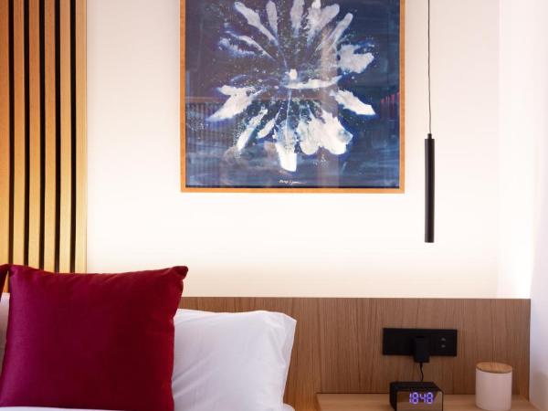 Boutique Hotel OLOM - Only Adults recommended : photo 5 de la chambre chambre double standard