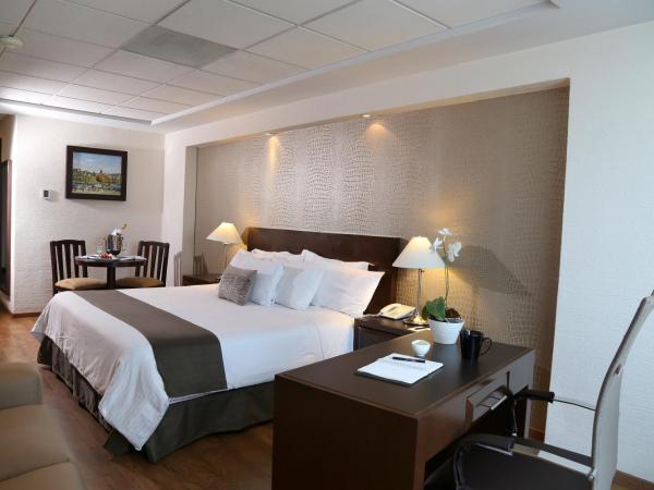 Mesón Ejecutivo Guadalajara Minerva - Av México : photo 10 de la chambre chambre lit king-size supérieure