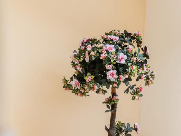 Hotel Orion : photo 6 de la chambre studio