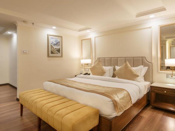 Hotel Shanker-Palatial Heritage Kathmandu : photo 1 de la chambre chambre simple deluxe - enregistrement anticipé et départ tardif (jusqu'à 2 heures de différence)