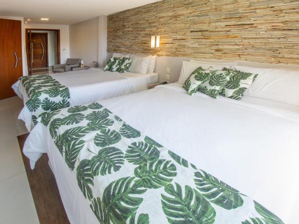 Hotel Pousada Experience João Fernandes : photo 7 de la chambre classic two-bedroom without balcony