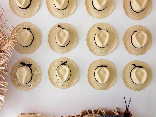 Casa Magu Merida : photo 5 de la chambre chambre lit queen-size - vue sur jardin