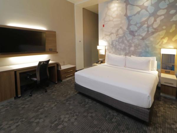 Courtyard Monterrey Airport : photo 2 de la chambre chambre lit king-size - vue sur cour