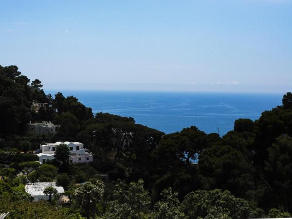 Villa Calypso : photo 9 de la chambre suite junior lit king-size avec terrasse