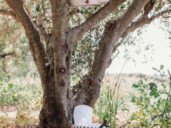 Star Sleep Kalesia Heraklion : photo 8 de la chambre tente