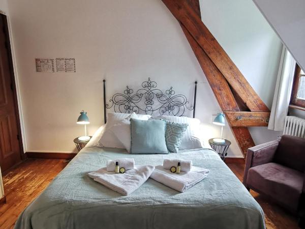 Hotel La Résidence Manoir De La Salamandre : photo 1 de la chambre chambre double avec baignoire balnéo