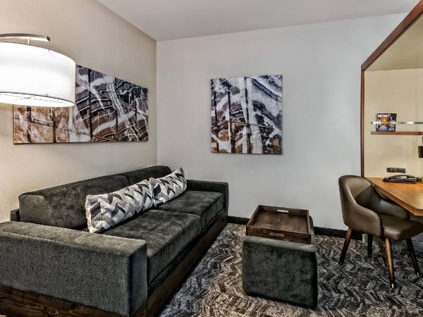 SpringHill Suites by Marriott San Antonio Airport : photo 1 de la chambre studio lit king-size avec canapé-lit