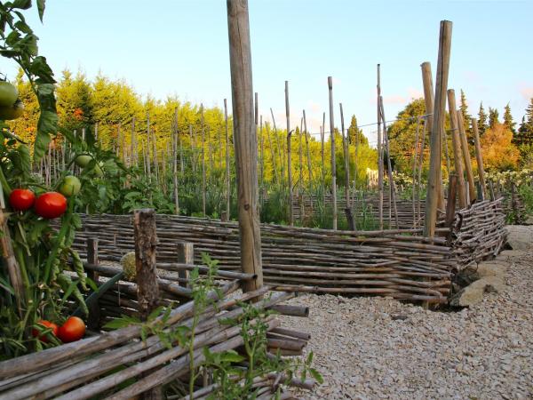 MAS DES FIGUES - Mas XVIII siècle - Piscine - très calme - Alpilles Saint Rémy de Provence - brunch méditerranéen salé sucré cuisine faite maison - ferme auberge agritourisme - Biologique FRBio potager bio huile d'olive bio jardin roseraie Biodiversité - : photo 3 de la chambre maison 1 chambre