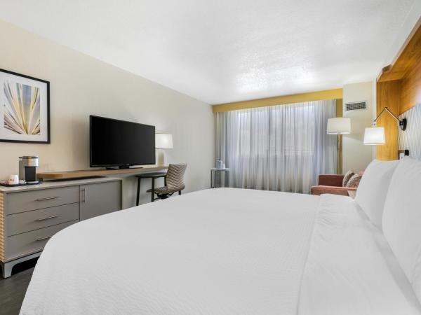Holiday Inn Orlando International Drive - ICON Park : photo 8 de la chambre chambre lit king-size loisirs - non-fumeurs