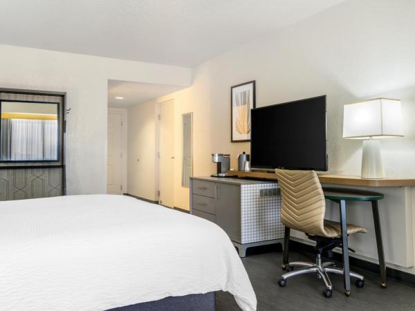 Holiday Inn Orlando International Drive - ICON Park : photo 3 de la chambre chambre lit queen-size premium avec 2 lits queen-size
