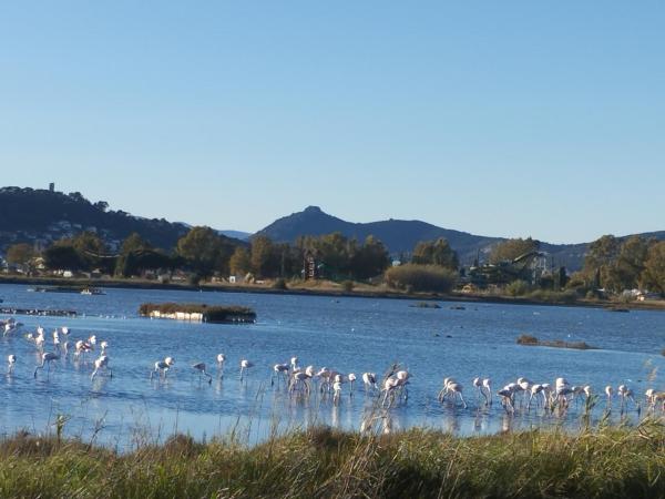 Le Surplage : photo 1 de la chambre studio - vue sur mer