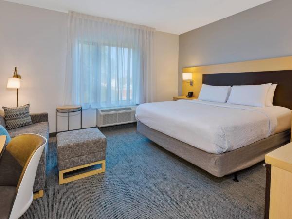 TownePlace Suites by Marriott Nashville Airport : photo 1 de la chambre studio lit king-size avec canapé-lit